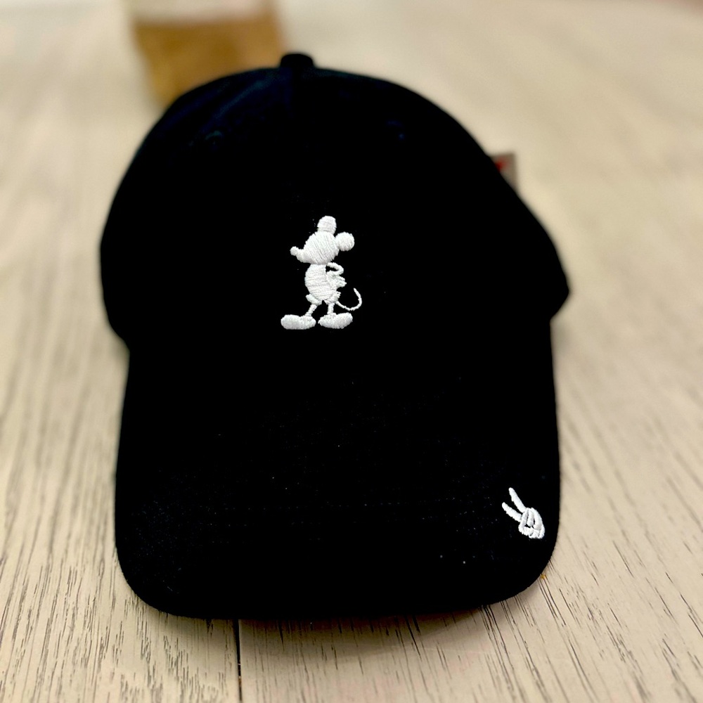 BNWT Youth Size Love Your Melon Disney Hat